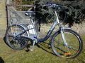 2010 - Windsor Electric Bike